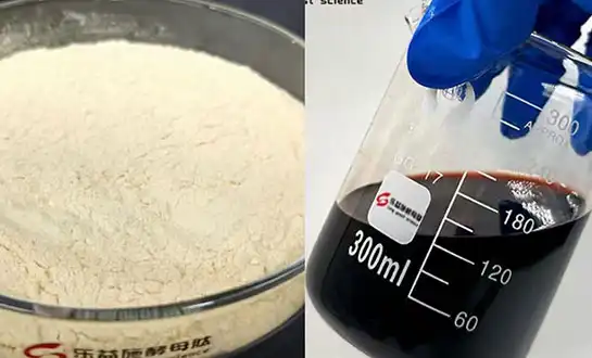 Powder vs Liquid Amino Acids for Foliar Application？